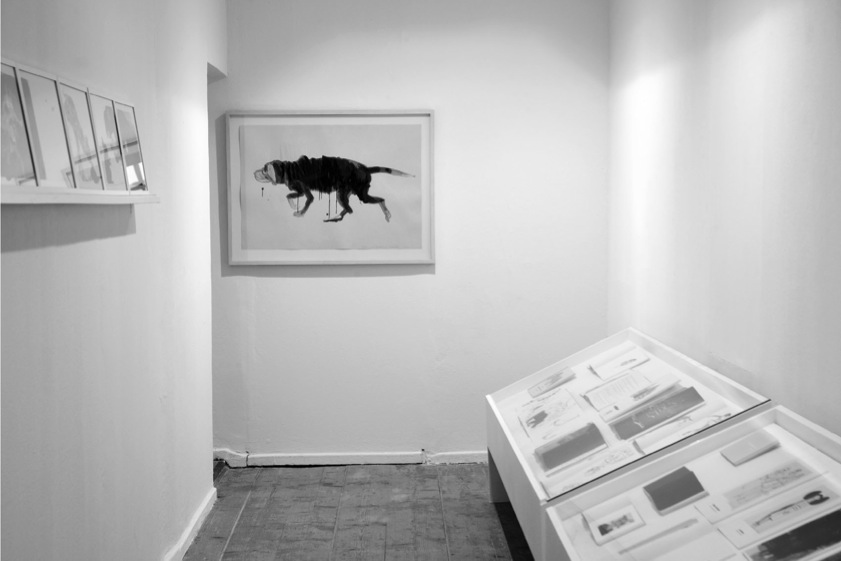 Pasted Graphic 13